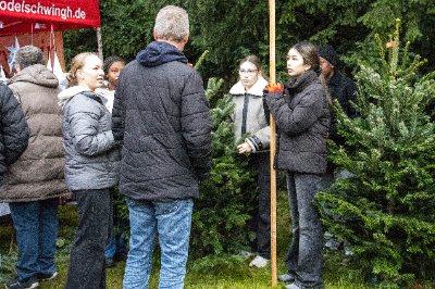 Waldweihnacht 1 von 11 tn