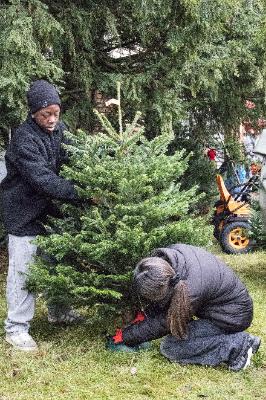 Waldweihnacht 5 von 11 tn
