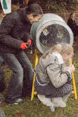 Waldweihnacht 8 von 11 tn