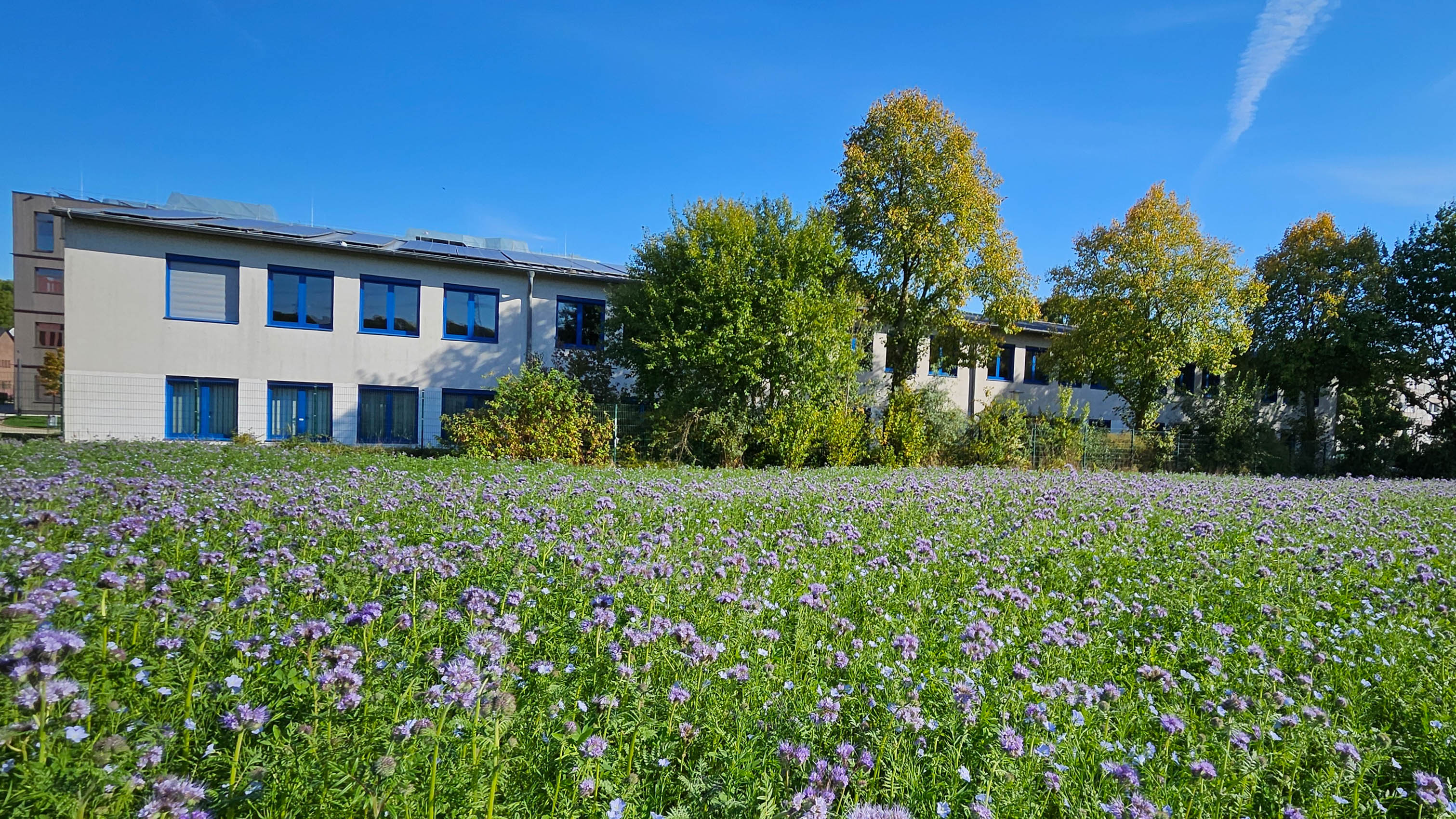 Gebaude C