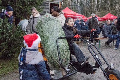 Gokarts und Tannenbäume im Rahmer Wald